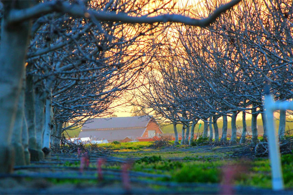 中国移动防电话轰炸