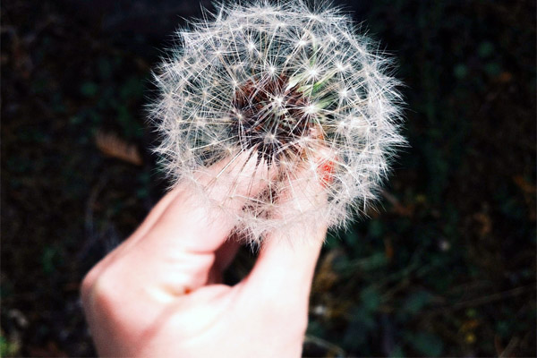 中国移动防电话轰炸