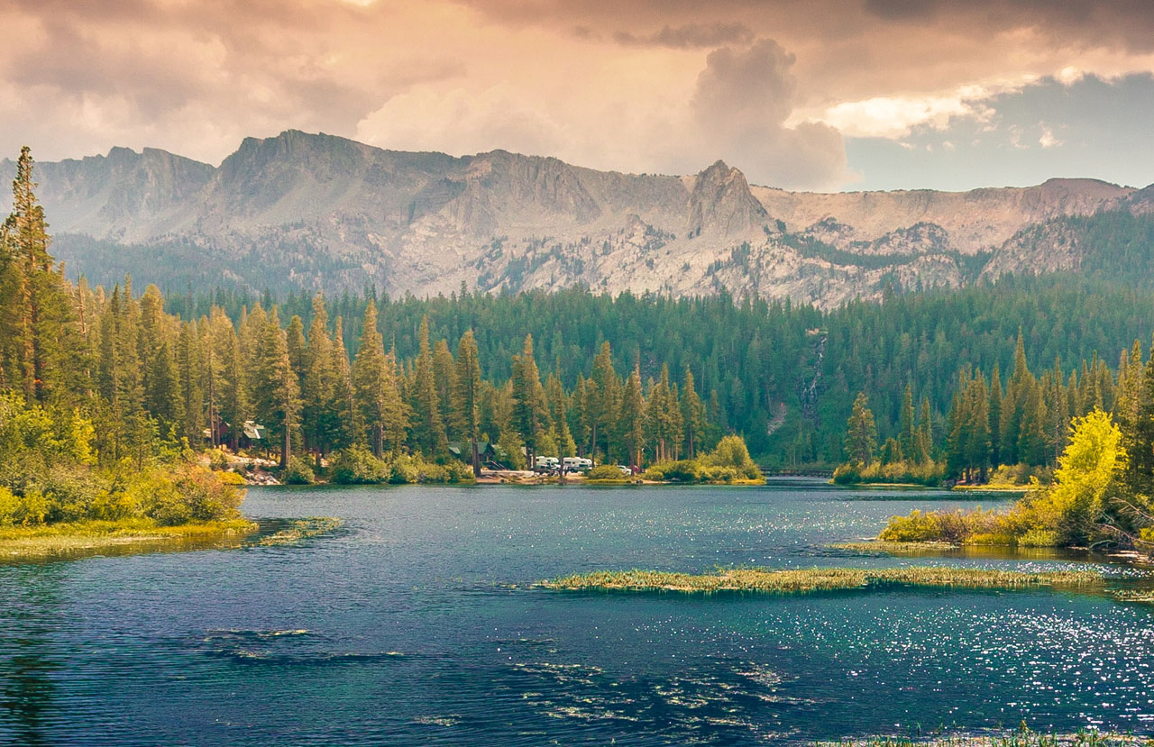 一手货源直供的免费手机号轰炸