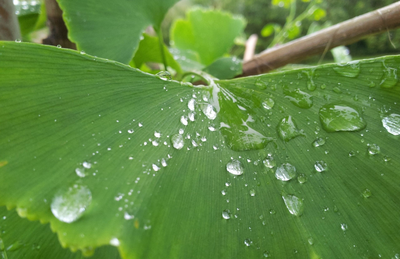 云呼网页版免费试用